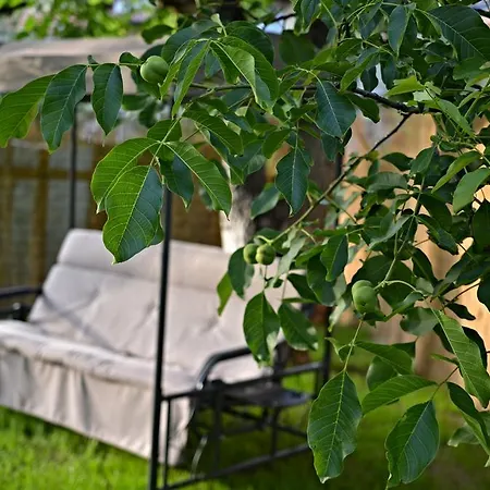 Guest house Zarevata Velingrad